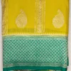Semi Silk Old Gold Color With Greenish Cyan Border