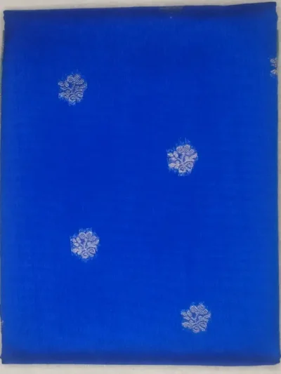 3-IMG_20260125_160447 Karunadu Sarees Israel Blue Color With Laurel Border